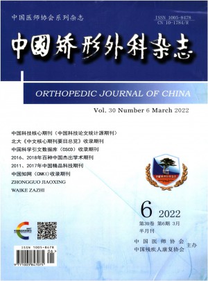 中国矫形外科杂志社