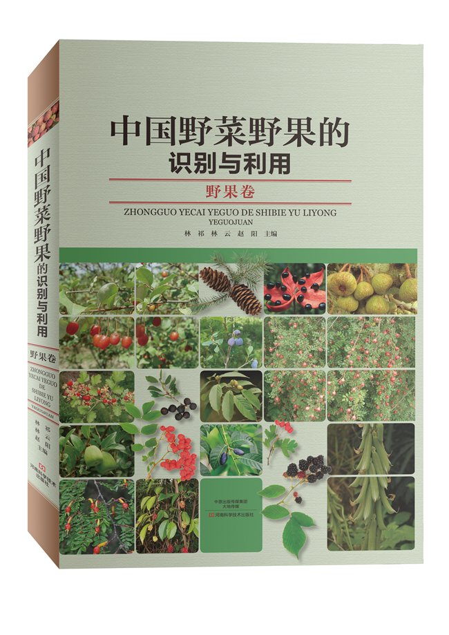 中国野菜野果的识别与利用：野果卷