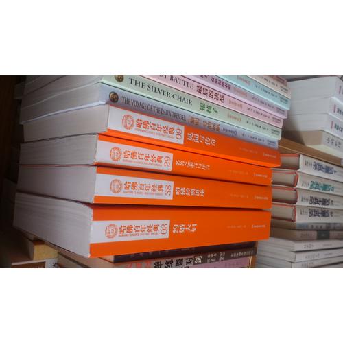 约婚夫妇（哈佛百年经典·第03卷）