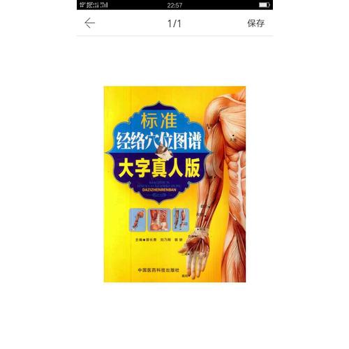 标准经络穴位图谱（大字真人版）