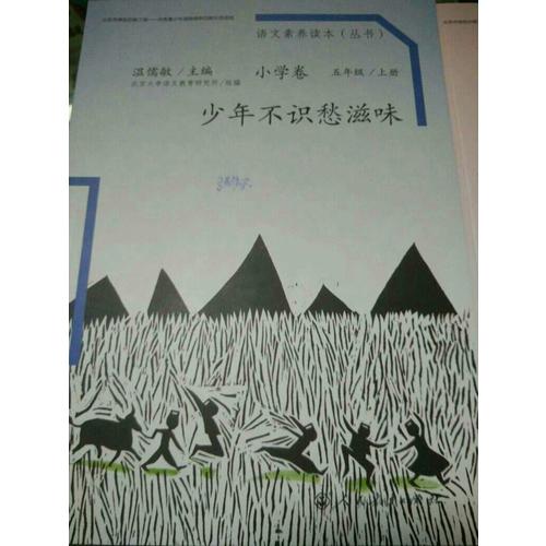 语文素养读本  小学卷9   少年不识愁滋味