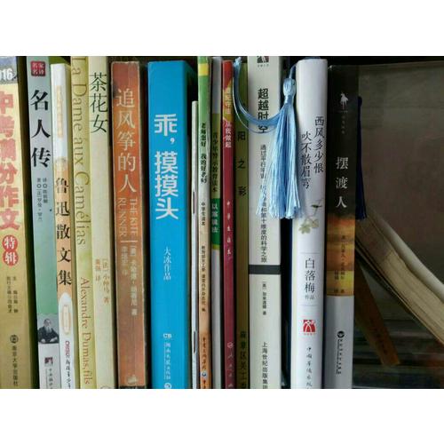 超越时空：通过平行宇宙、时间卷曲和第十维度的科学之旅