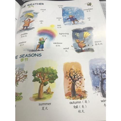 英语单词图画书（附音频）