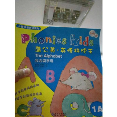 蒲公英·英语拼读王（全12册+9CD＋6DVD光盘）