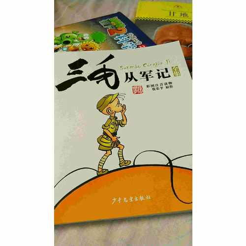 三毛从军记全集·彩图注音读物