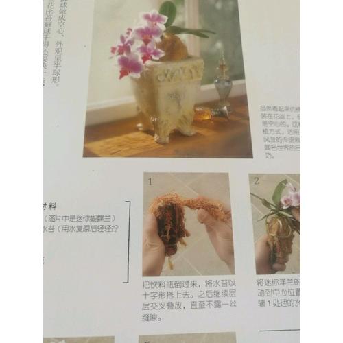 最基础的10种树形盆景