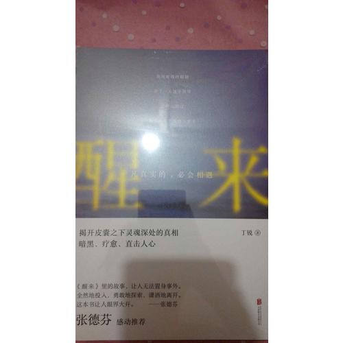 醒来：凡真实的，必会相遇