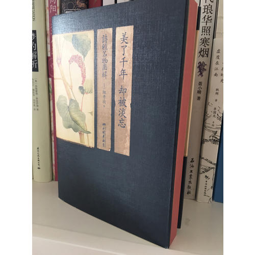 美了千年，却被淡忘：诗经名物图解