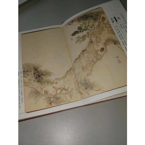 美了千年，却被淡忘：诗经名物图解