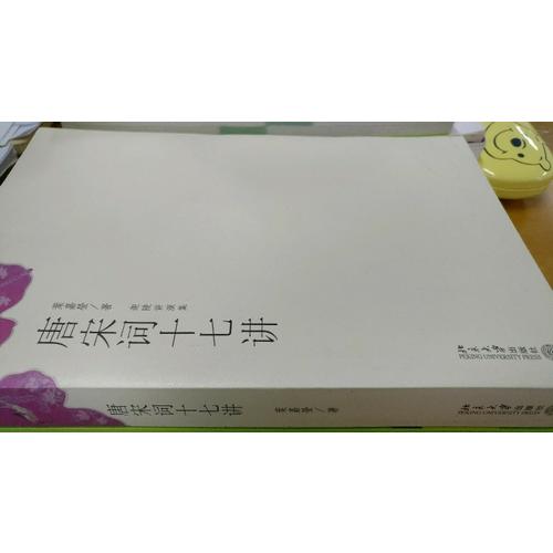 唐宋词十七讲