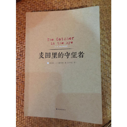 麦田里的守望者（2014版）