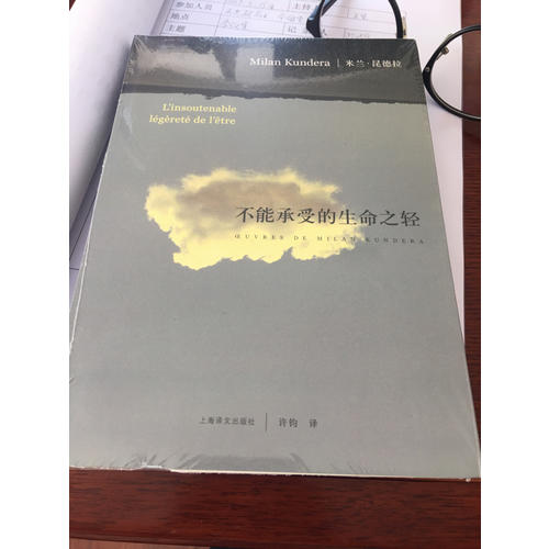 不能承受的生命之轻（新）