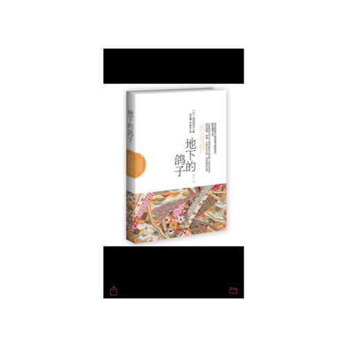 地下的鸽子