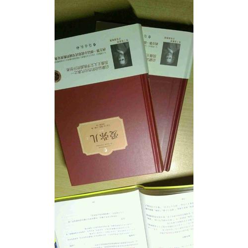 爱弥儿（上下册）