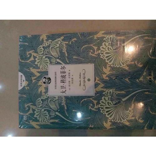 大卫科波菲尔（全二册）