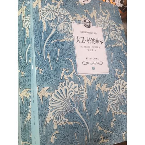 大卫科波菲尔（全二册）