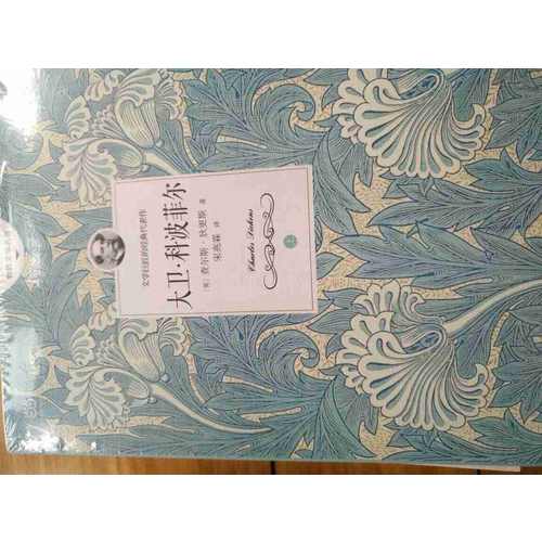 大卫科波菲尔（全二册）