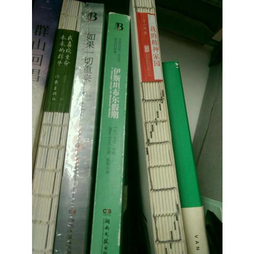 伊斯坦布尔假期