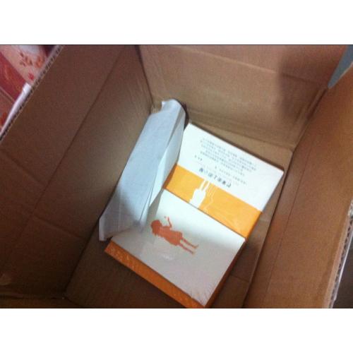 芒果街上的小屋