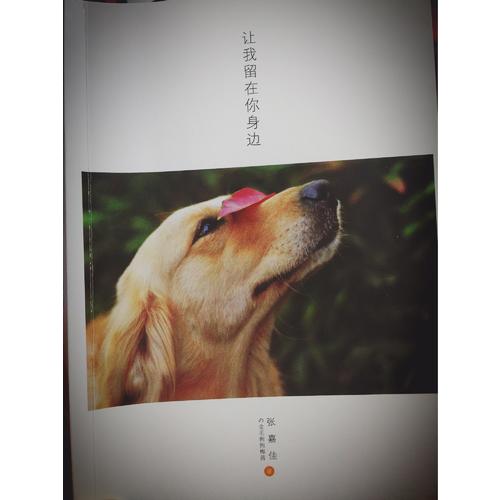 让我留在你身边