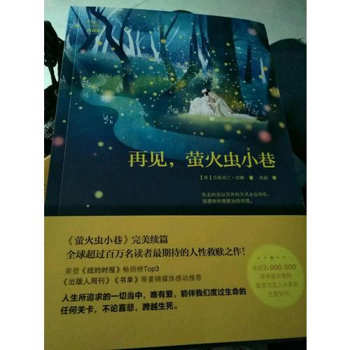 再见，萤火虫小巷