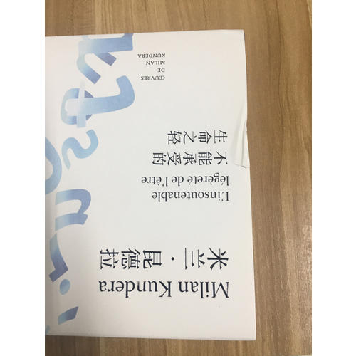 不能承受的生命之轻（米兰·昆德拉作品全新系列）