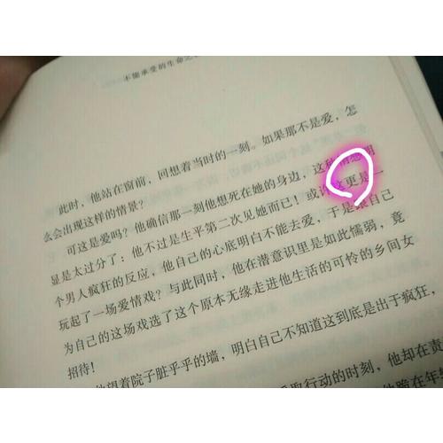 不能承受的生命之轻（米兰·昆德拉作品全新系列）