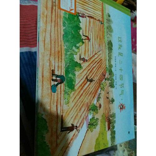 这就是二十四节气（文津图书奖获奖绘本，共4册）