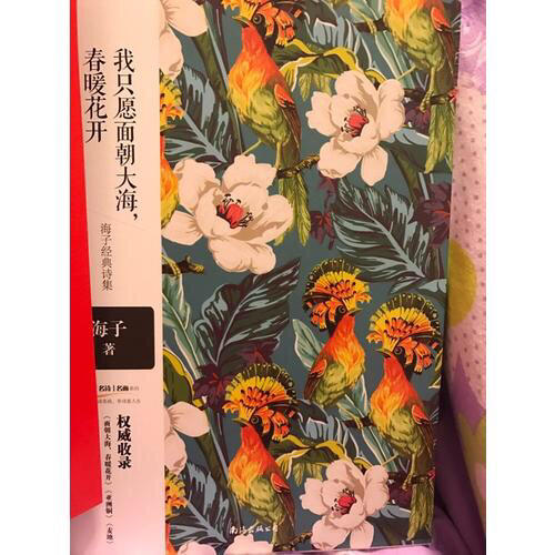 我只愿面朝大海，春暖花开·海子经典诗集