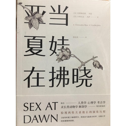 亚当夏娃在拂晓