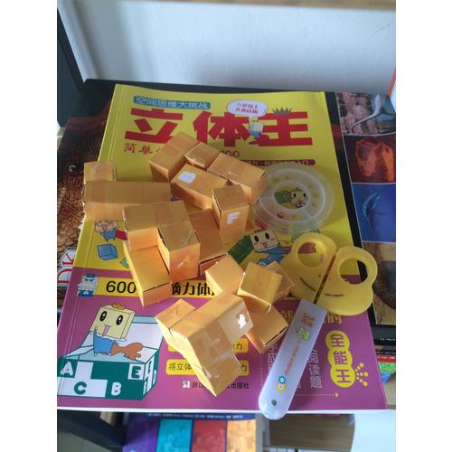 空间思维大挑战:立体王(共4册 基础入门篇)