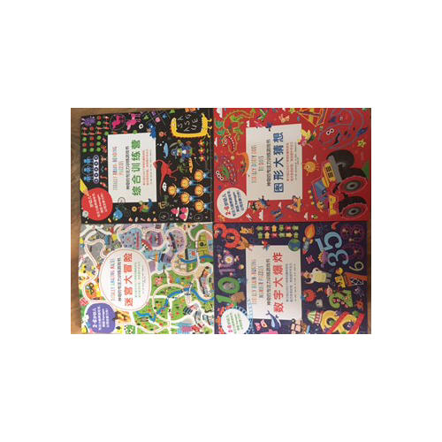 神奇的专注力训练游戏书(全四册)