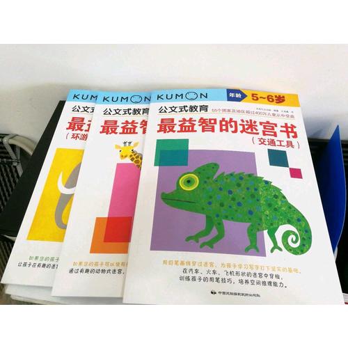 公文式教育：最益智的迷宫书套装（全3册）（5-6岁）