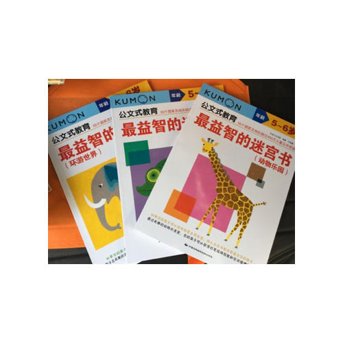 公文式教育：最益智的迷宫书套装（全3册）（5-6岁）