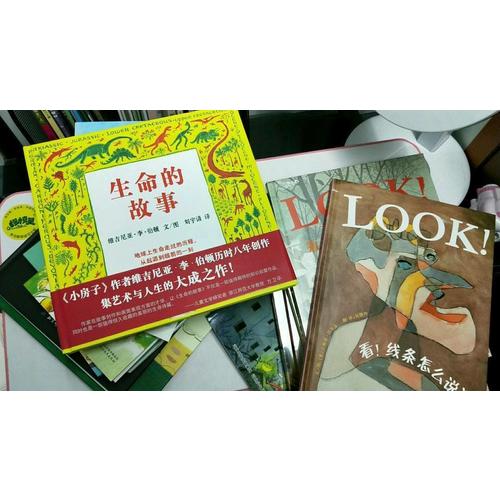 我的及时本思维导图作文书