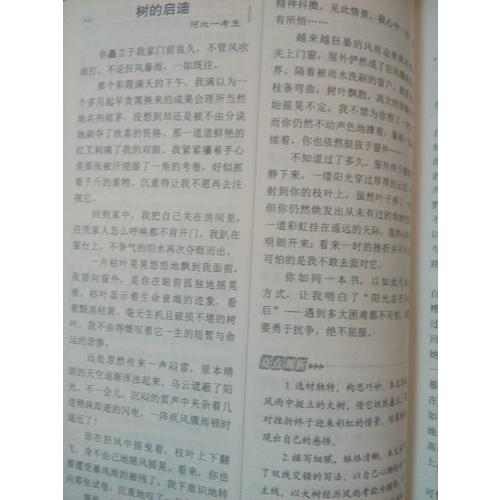 中考满分作文2017