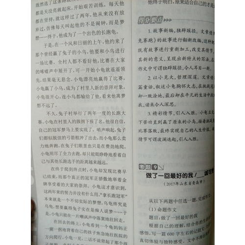 中考满分作文2017