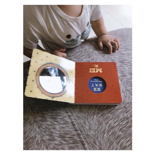 宝宝的及时本躲猫猫游戏书 猜猜我是谁系列套装（全4册）