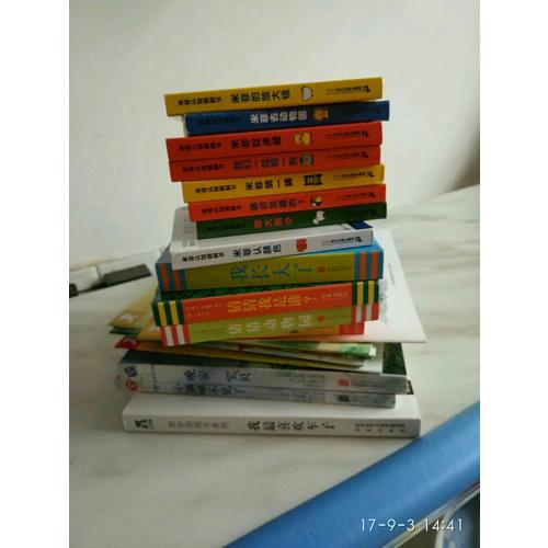 宝宝的及时本躲猫猫游戏书 猜猜我是谁系列套装（全4册）