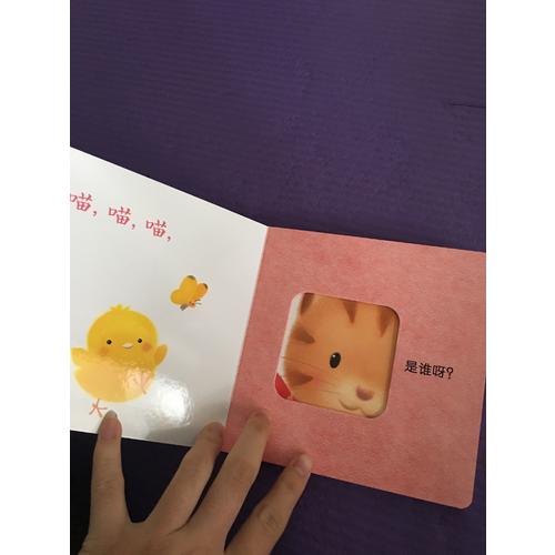 和小鸡球球一起玩（6册）