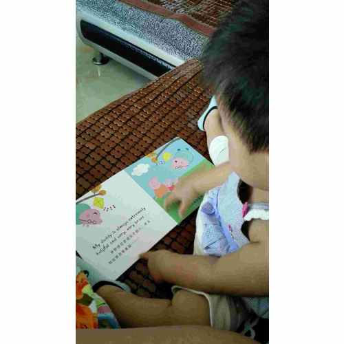 小猪佩奇双语故事纸板书（全4册）