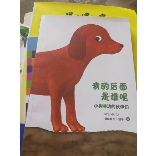 我的后面是谁呢系列（全5册）