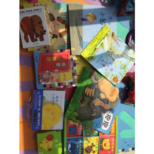 信谊宝宝起步走·棕色的熊、棕色的熊，你在看什么？