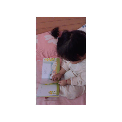 小鸡球球成长绘本系列（全六册）