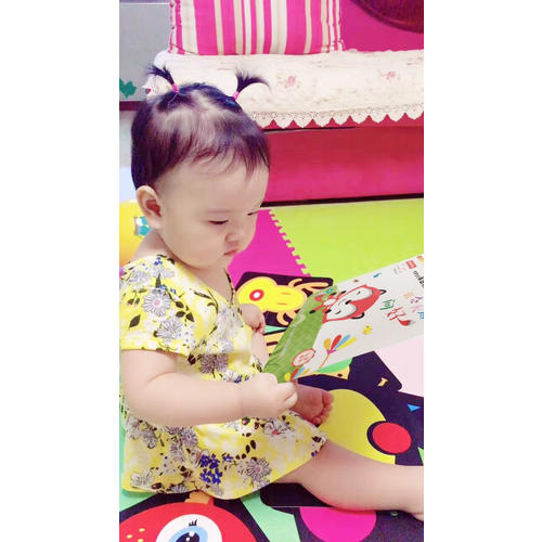 费雪宝宝家庭教育绘本合辑(共10册）