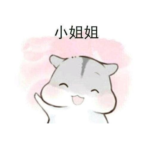 无雪之冬