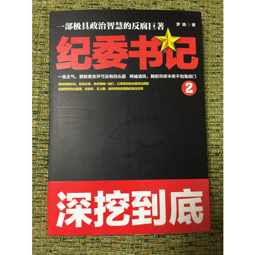 纪委书记2