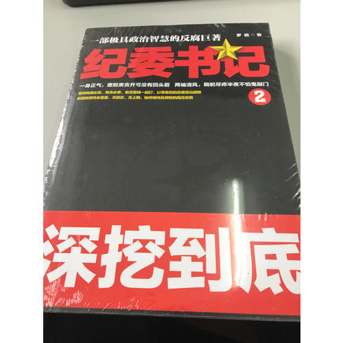 纪委书记2
