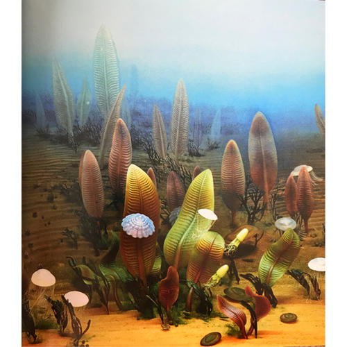 地球之美：一部看得见的地球简史