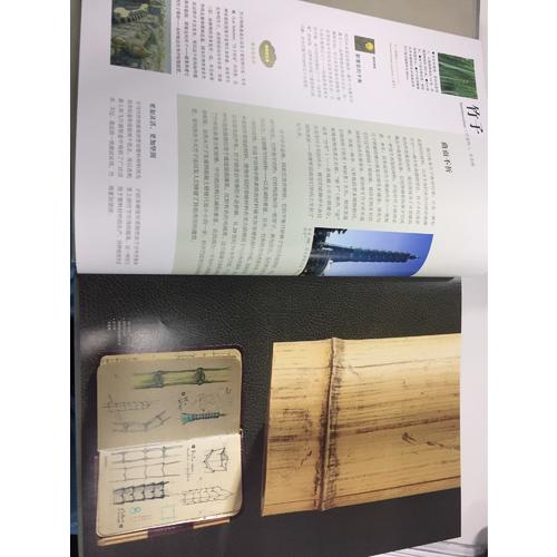 当自然赋予科技灵感